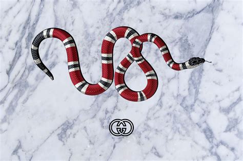 gucci snake decor|gucci wallpapers for sale.